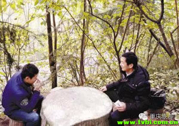 周末出游丨2014重庆冬季赏梅攻略