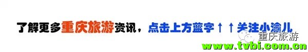 周末出游丨2014重庆冬季赏梅攻略