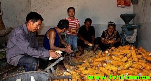 重庆娃儿些曾经做过的农活，你还记得不！