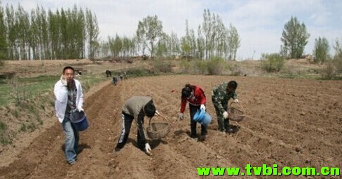 重庆娃儿些曾经做过的农活，你还记得不！