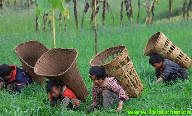 重庆娃儿些曾经做过的农活，你还记得不！