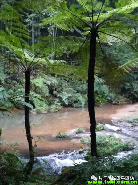 旅游攻略|赤水，红色之乡的生态奢享