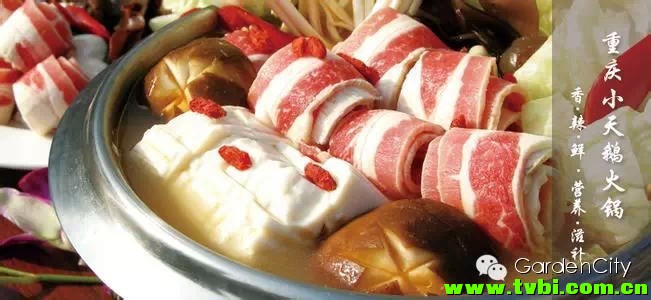 Chongqing hotpot restaurants 重庆火锅店推荐