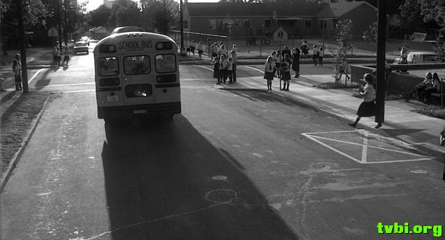 斗鱼.Rumble.Fish.1983.1080p.BluRay.X264-AMIABLE