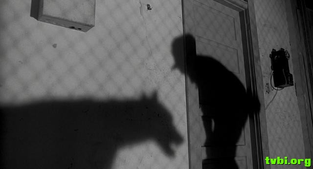 斗鱼.Rumble.Fish.1983.1080p.BluRay.X264-AMIABLE