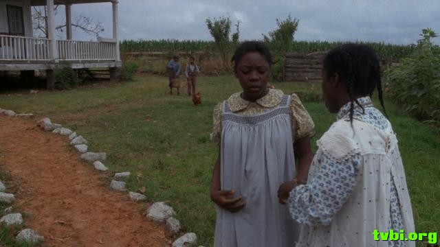 紫色.The.Color.Purple.1985.1080p.BluRay.x264-AVCHD